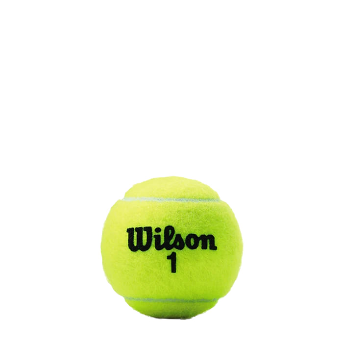 15 Pack Bote De Pelotas Wilson Championship